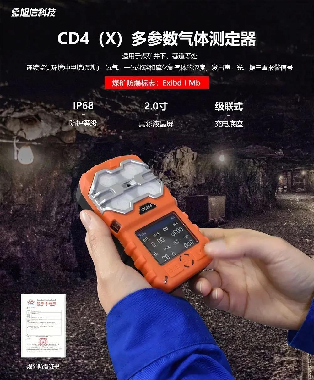 CD4 X多参数气体检测仪.jpg