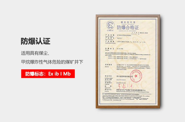 YHZ9矿用本安型振动检测仪_02.png